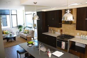 Emerson Street Rowhouses