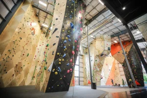 Ubergrippen_Climbing Gym Walls_Cover - Copy